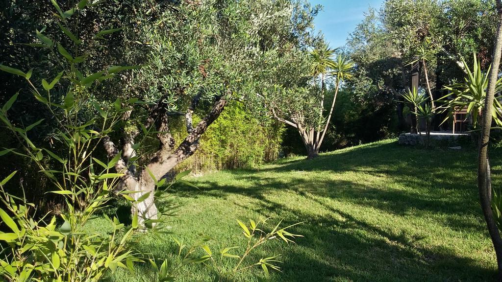 Tenuta Terenzano Torre San Giovanni