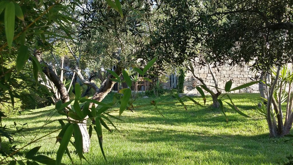 Tenuta Terenzano