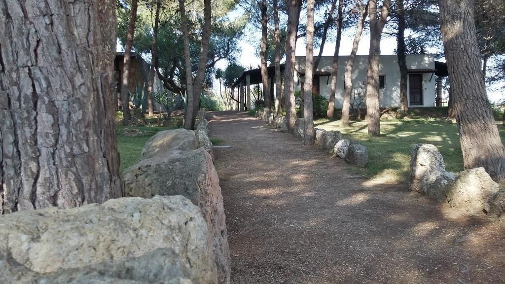 Tenuta Terenzano