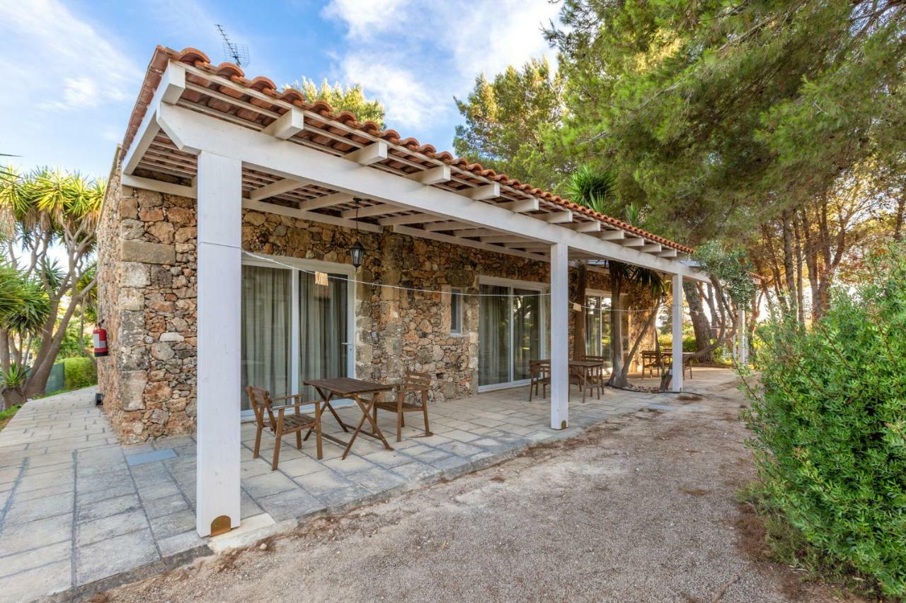 Tenuta Terenzano *