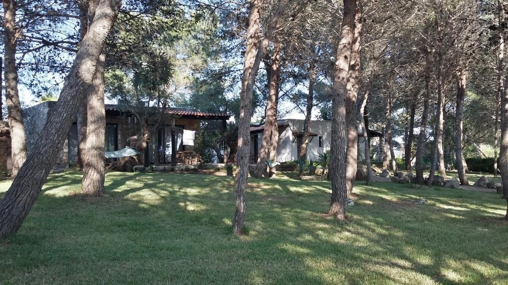 Tenuta Terenzano